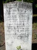 image of grave number 167025
